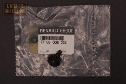 Vis RLX RDL M6x100-16