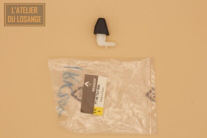 Gicleur de lave-glace