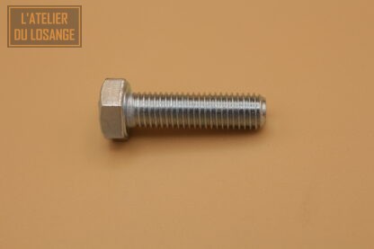 Vis TH électrozinguée M7x25 filetage total