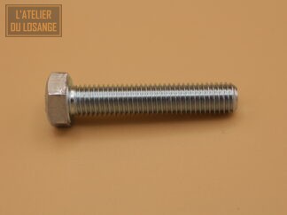 Vis TH électrozinguée M7x35 filetage total