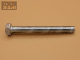 Vis TH électrozinguée M7x60 filetage total